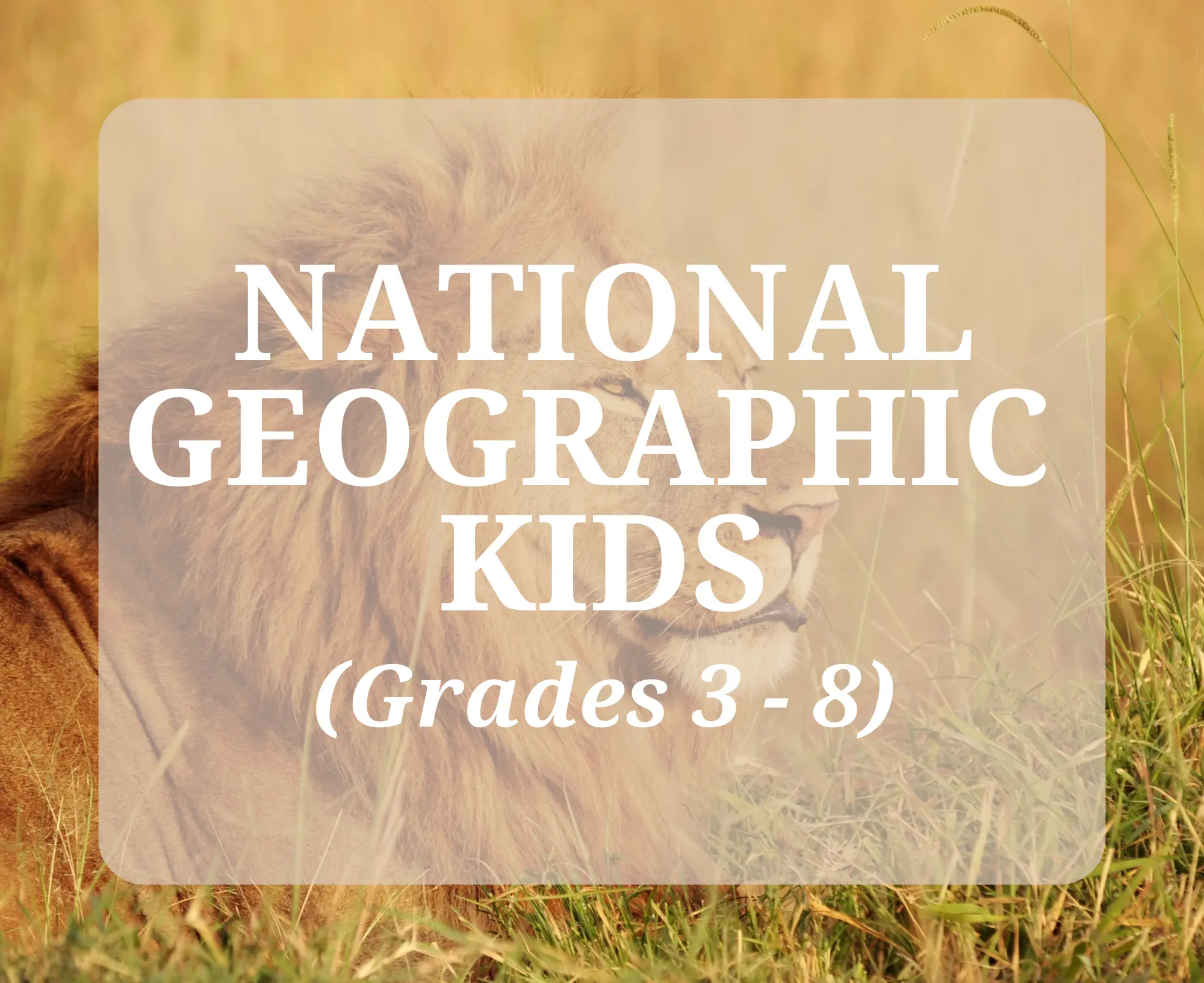 NatGeo Kids72.webp