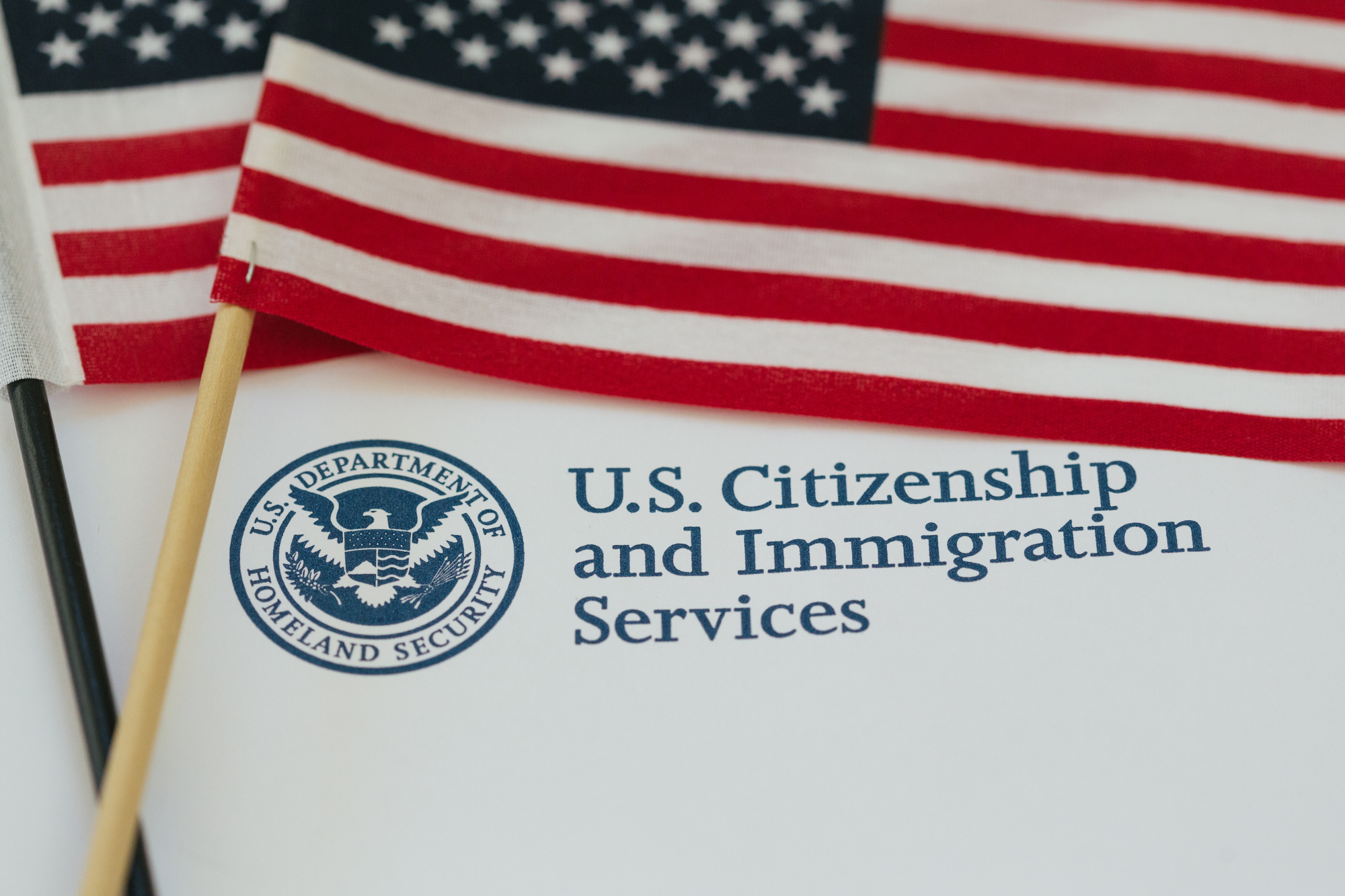 Immigration.png