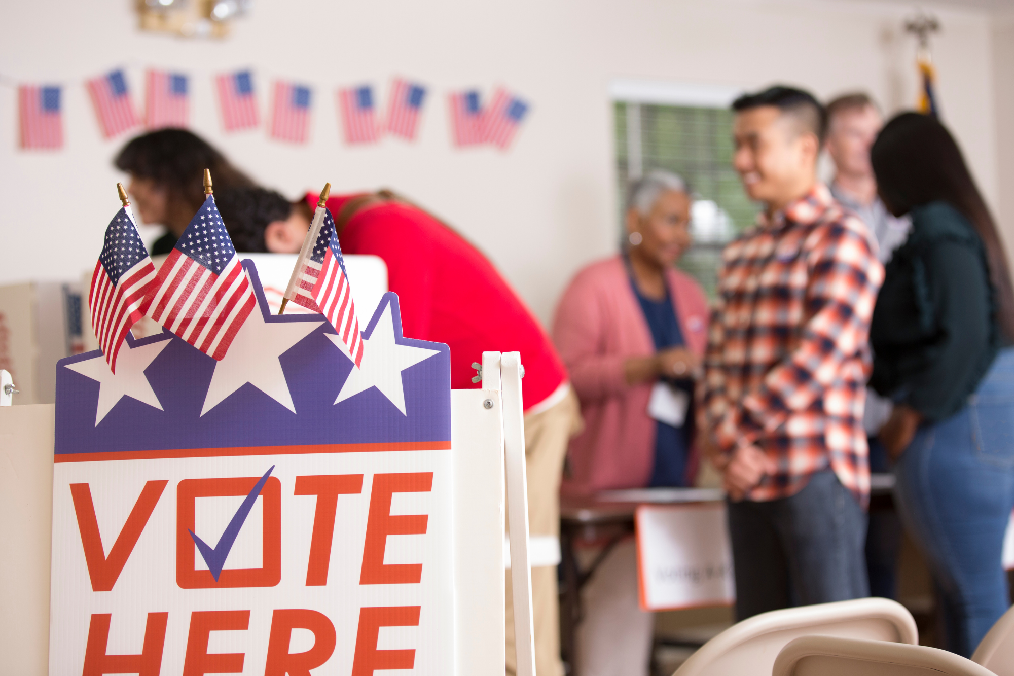 VoterReg.png